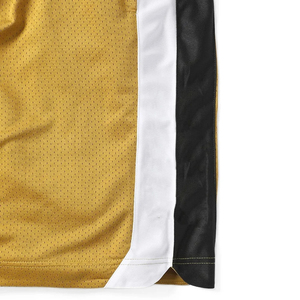 Shorts de basketball en maille polyester personnalisés avec logo, pour hommes, séchage rapide, respirants, taille mi-haute, fermeture élastique, imprimés par sublimation IRON MARK - Product Image 5