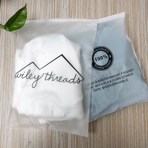 Bolsas de Polietileno Metálicas de Alta Calidad con Cierre Esmerilado y Logotipo Impreso para Ropa, Venta al Por Mayor - Product Image 1