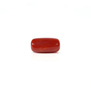 Natural Red Coral Loose Gemstone 3.73 Carat Certified Wholesale Raw Shape - Product Image 1