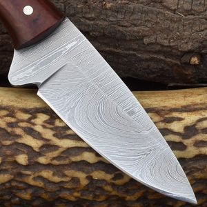Couteaux de chasse fiables avec lame en acier tranchante, poignée ergonomique, idéaux pour le camping, la randonnée, le bushcraft et la survie en milieu sauvage. - Product Image 5