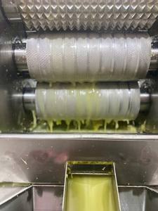 Venta: caña de azúcar congelada IQF de Vietnam, caña de azúcar pelada Premium, caña de azúcar fresca entera para producción y exportación de jugo - Product Image 2