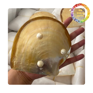 Premium Polished Shell Plate Mother of Pearl Decorative Plate for Luxury Home Decor - Product Image 1