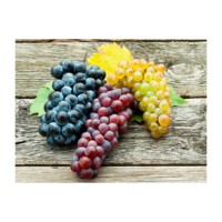 Exportation de fruits sans pépins de qualité supérieure: raisins frais rouges Globe sans pépins, raisins pour le vin, raisins blancs sans pépins frais