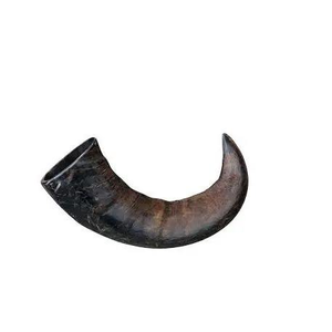 Jouet à mâcher pour chien en corne de buffle naturelle sculptée de haute qualité, écologique, en provenance d'Inde, vente en gros, Perfect Enterprises - Product Image 2