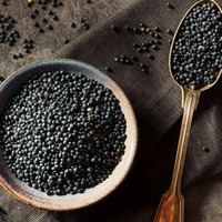 Lentilles noires de haute qualité, lentilles séchées soigneusement sélectionnées pour l'emballage de détail et l'industrie alimentaire, service OEM