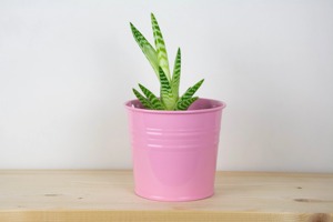 Classic Pink Metal Planter Perfect For Home Decor Floral Arrangements And Plant Displays Garden Planter Wholesale From India - Product Image 1