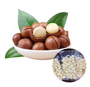 Nueces de Macadamia Tostadas y Partidas, Hechas en Vietnam, Precio Bajo, Suministro a Granel de Fabricante Vietnamita - Product Image 1