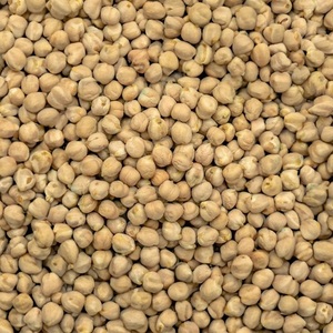 ซื้อถั่วชิกพีคาบูลีออร์แกนิก คุณภาพสูง แห้ง ธรรมชาติ ปลอดสาร GMO บรรจุ 25 กก. ขายส่ง จัดส่งรวดเร็ว - Product Image 1