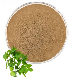 Poudre de feuilles de Brahmi 100 % pure en vrac, qualité cosmétique, idéale pour les masques capillaires et les masques faciaux - Product Image 2