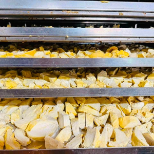Wholesale Freeze Dried Durian Slices Vietnam Supplier Premium Golden Pillow Durian Fruit Snack Natural FD Food Ingredient Export - Product Image 5