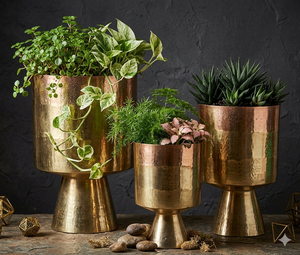 Macetero de Interior Multiusos Resistente con Recubrimiento de Polvo de Hierro y Drenaje - Product Image 1