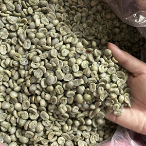 กาแฟอาราบิก้าพิเศษจากเวียดนาม ส่งออกโดยตรง ขนาดเมล็ด 18  ได้รับการรับรองมาตรฐาน ISO 22000 และ USDA เกรดพรีเมียม  หักและดำ 0.1% - Product Image 1