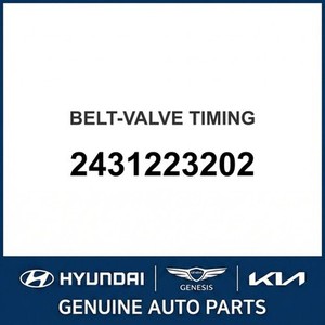 Elantra Nuevo, Otras Piezas y Accesorios para Autos y Camiones 2431223202 - Product Image 1