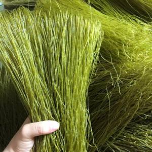 Fideos Vegetales de Alta Calidad – Fideos de Color Natural, Sin Aditivos Artificiales, Precio Competitivo // Mr.Tom - Product Image 1