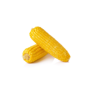Envío a granel de maíz amarillo para aplicaciones alimentarias - Product Image 5