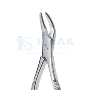 Forceps d'extraction dentaire en acier inoxydable, forceps manuels pour dents, griffes chirurgicales pour usage clinique - Product Image 3