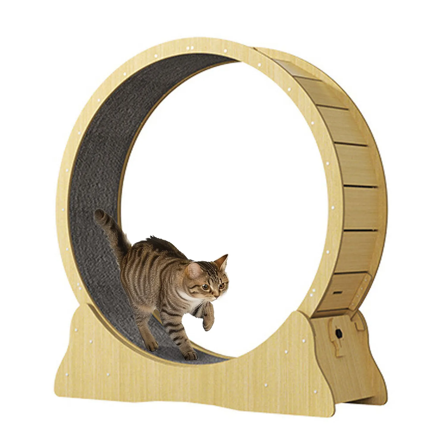 Circle household interactive pet tread exercise running wheel cat climbing frame fiberboard cat tapis roulant