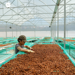 Granos de café verde más vendidos de Vietnam Robusta Arábica Grano entero Café tostado saludable Precio competitivo Listo Importación - Product Image 3