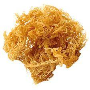 <b>Sea</b> <b>Moss</b> <b>Capsules</b>/Gummies - Contract Manufacturing & Private Label - Product Image 2