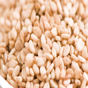 Semillas de Sésamo Naturales Indias de Nueva Temporada con Apariencia Dorada Premium para Suministro al por Mayor e Ingrediente Alimentario Internacional - Product Image 4