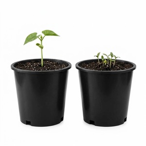 Macetas de Plástico Negras de 2 Galones con Orificios de Drenaje para Plántulas, Uso Doméstico, Diseño Moderno - Product Image 1