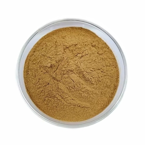 Poudre de Chardon-Marie OEM la plus vendue, 100 % pure et naturelle, riche en Silimarine pour la santé du foie et le soutien détoxifiant - Product Image 3