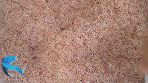 กุ้งแห้งเกรดอาหารสำหรับปรุงรสและใช้เป็นส่วนผสมในการปรุงอาหาร - Product Image 6