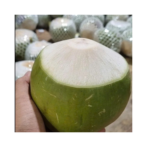 Proveedor de Coco Verde Vietnamita en Botones, Piezas de Coco Fresco al por Mayor - Product Image 3