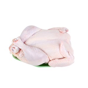 ผู้จัดจำหน่ายไก่แช่แข็งฮาลาลทั้งตัวแบบขายส่งจำนวนมาก |   ไก่แช่แข็งทั้งตัวและเป็นชิ้นส่วน จัดส่งรวดเร็ว - Product Image 4