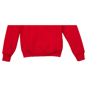 Custom Women's Eco-Friendly Windproof Breathable 220g Knitted 100% Cotton Fleece Oversized Crew <b>Neck</b> Winter/Spring Sweatshirt - Product Image 3