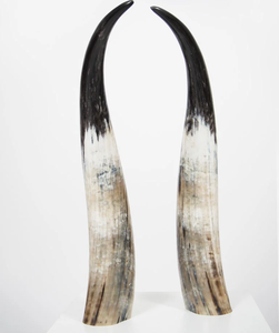 Corne de buffle décorative polie à la main, écologique, au meilleur prix, pièces décoratives - Product Image 1