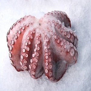 Mejor Pulpo Congelado de Primera Calidad al por Mayor, Venta a Granel, Listo para Enviar, Grado Alimenticio, Suministro para Exportación, Mariscos Congelados - Product Image 3