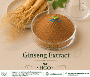 โรงงาน HGO จัดจำหน่ายโดยตรง สารสกัดจากรากโสมเอเชีย (Panax ginseng) (เกรดอาหารเพื่อสุขภาพ) อัตราส่วน 4:1 5:1 10:1 20:1 100:1 200:1 - Product Image 1