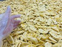 Chips de banane frites sous vide, best-sellers, croustillantes, collation saine, chips de banane séchées naturelles, fournisseur en gros pour l'exportation, Vietnam, haute qualité