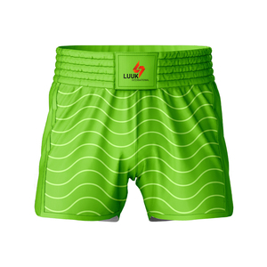 Shorts Sublimados de Muay Thai y Kickboxing de Marca Privada para Marcas de Ropa Deportiva con Logotipos, Colores y Diseños Personalizados - Product Image 1
