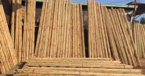 MITvn Bamboo Pole Raw Materials 2-9cm Natural Tonkin <b>Canes</b> Stakes 50cm-200cm <b>Garden</b> Plant Support for Home - Product Image 3