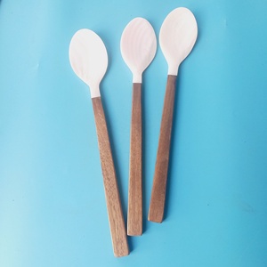 Cuchara para servir Caviar, espátula Natural respetuosa con el medio ambiente, de concha de perlas de agua dulce, barata, económica, de Vietnam - Product Image 1