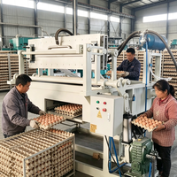 Machine entièrement automatique de fabrication de barquettes à œufs en papier recyclé pour élevages avicoles, moule 30 alvéoles