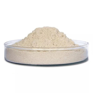 Enzima de Proteasa Alcalina de Grado Alimenticio Premium para el Procesamiento de Alimentos, Hidrólisis de Proteínas y Aplicaciones Industriales - Product Image 2