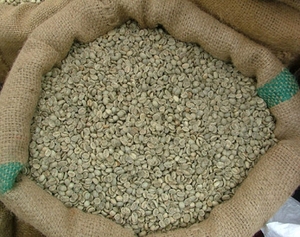 Arabica Starmaya, Granos de Café Verde con Cáscara, Suaves y Húmedos, Especialidad de Son La, Vietnam, 95% Cereza Roja, 24 Meses - Product Image 3