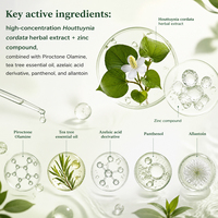 Crème Hydratante OEM/ODM à Marque Privée à base de Houttuynia, PCA de Zinc, Acide Salicylique et Panthénol – Soin Visage Équilibrant et Hydratant pour la Nuit