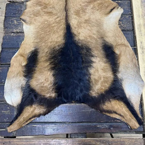 Tapis en cuir de vache authentique, véritable peau de vache avec poils, pour la décoration intérieure. - Product Image 2