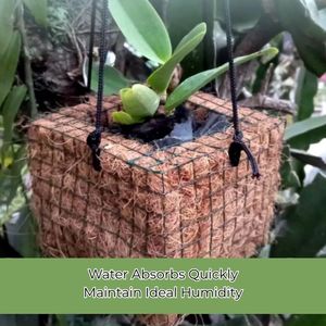 Maceta Cuadrada de Fibra de Coco de Alta Calidad, 14x11.5cm, Maceta Natural para Plantas de Interior, Orquídeas, Uso en Jardines Pequeños - Product Image 4
