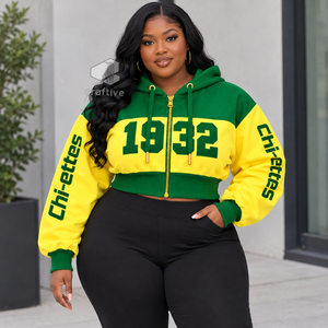 Sudadera con capucha corta con cremallera y bloques de color para mujer de Chi Eta Phi, de manga larga, con letras griegas bordadas, top universitario - Product Image 5