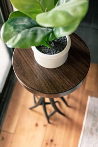 Mesa Auxiliar Rústica Moderna Hecha a Mano con Detalles de Hierro y Tapa de Madera de Nogal Sólido, Base Artística de Metal con Diseño de Rama de Árbol, para Sala de Estar o Esquina del Sofá - Product Image 3