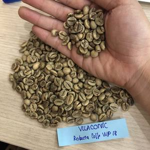 GREEN COFFEE BEANS ROBUSTA <b>WET</b> POLISHED S16 S18 BULK WHOLESALE PRICE HIGH CAFFEINE CONTENT EXPORT QUALITY - Product Image 3