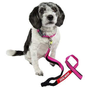 Guinzaglio e Collare per Cani Neo Indistruttibili Sportivi Ricamati, Spessi e Resistenti con Facile Controllo della Tensione per Compagni Canini Attivi - Product Image 1