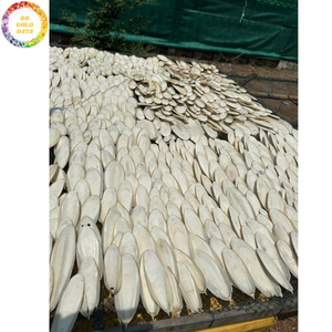Export Quality Vacuum Fried Cuttlefish Bone Dried Bird <b>Cage</b> Chew Premium Natural Product For <b>Parrot</b> Finch Canary Wholesale - Product Image 3