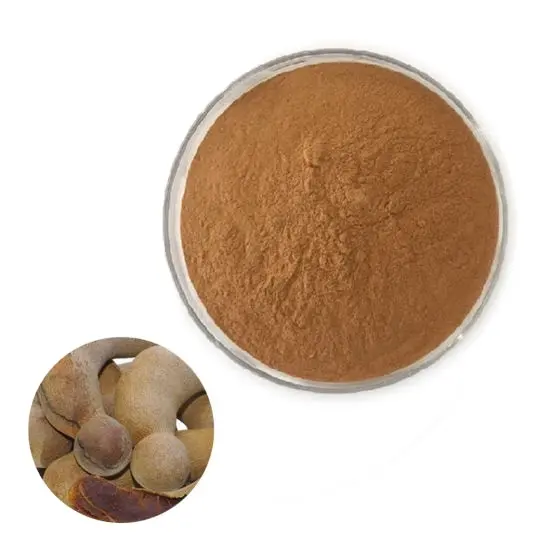 Poudre de Tamarind naturelle, approvisionnement d'usine ISO, extrait de graines de tamarindon, Tamarindus, indigo