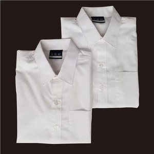 Designs d'uniformes scolaires pour enfants, chemise scolaire avec logo personnalisé, polyester/coton, service OEM, fabricant chinois - Product Image 2